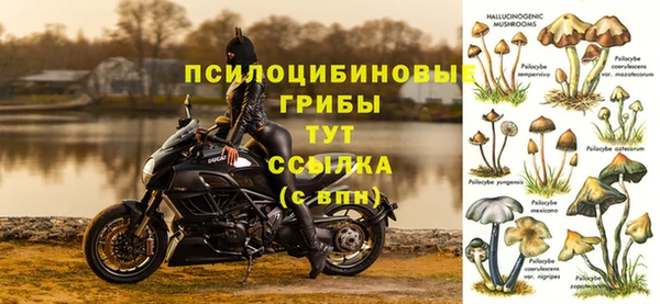 дживик Алзамай