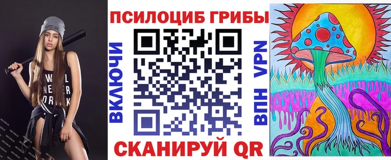 Псилоцибиновые грибы Cubensis  Орск 